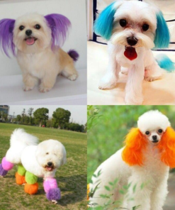 THUỐC NHUỘM LÔNG CHO CHÓ MÈO - ?LOVE PETS SHOP?