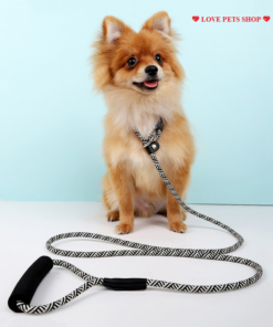 DÂY DẮT CHÓ MÈO KIÊM VÒNG CỔ TAOTAOPETS