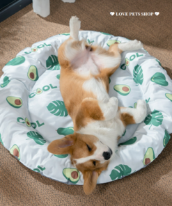 Đệm gel nước làm mát cho Chó Mèo hình tròn - Love pets shop