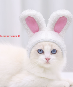 Mũ nón cho Mèo hình tai thỏ dễ thương