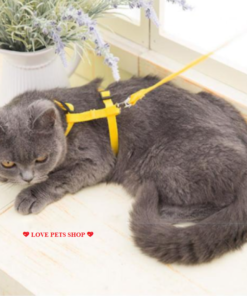 Bộ dây dắt kèm yếm cho Mèo màu trơn