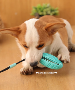 Đồ chơi cho Chó gặm sạch răng quả bóng rò rỉ thức ăn có cốc hút