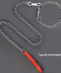 Bộ dây dắt Chó kèm vòng cổ bằng kim loại Taotaopets
