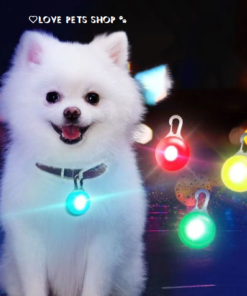 Đèn led chống đi lạc cho Chó Mèo hình mặt dây chuyền