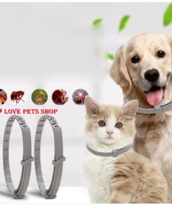 Vòng cổ trị ve rận, côn trùng cho Chó Mèo Taotaopets