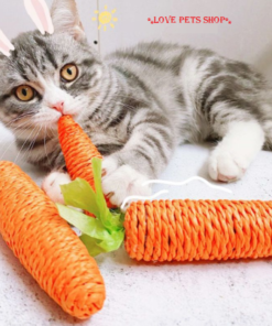Đồ chơi củ cà rốt mài răng cho Mèo bằng giấy đặc biệt