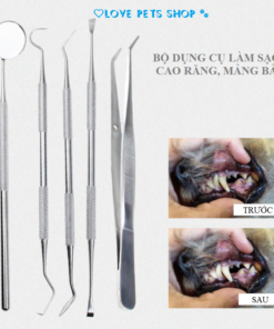 Bộ dụng cụ làm sạch cao răng cho người và thú cưng bằng thép không gỉ