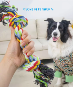 Đồ chơi cho chó gặm sạch răng dây thừng bện thắt nút 2 đầu