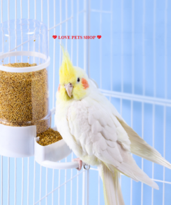 Bình đựng nước và thức ăn tự động cho chim Vẹt gắn chuồng