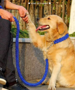 Bộ dây dắt Chó Lớn kèm vòng cổ bằng 8 sợi dây thừng bện chắc chắn