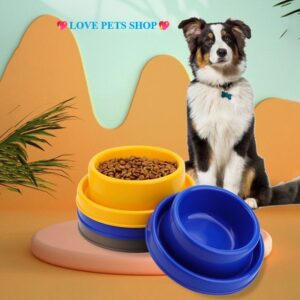 Chén ăn đơn chống kiến cho Chó Mèo bằng nhựa hình tròn