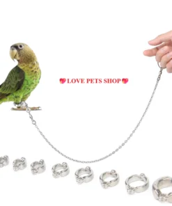 Bộ dây xích chim vẹt kèm vòng chân bằng thép không gỉ