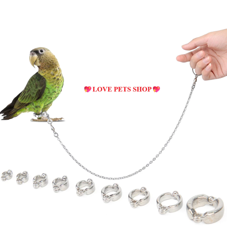 Bộ dây xích chim vẹt kèm vòng chân bằng thép không gỉ