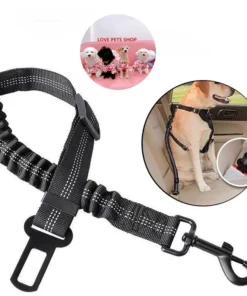 Dây cố định chó mèo trên xe hơi