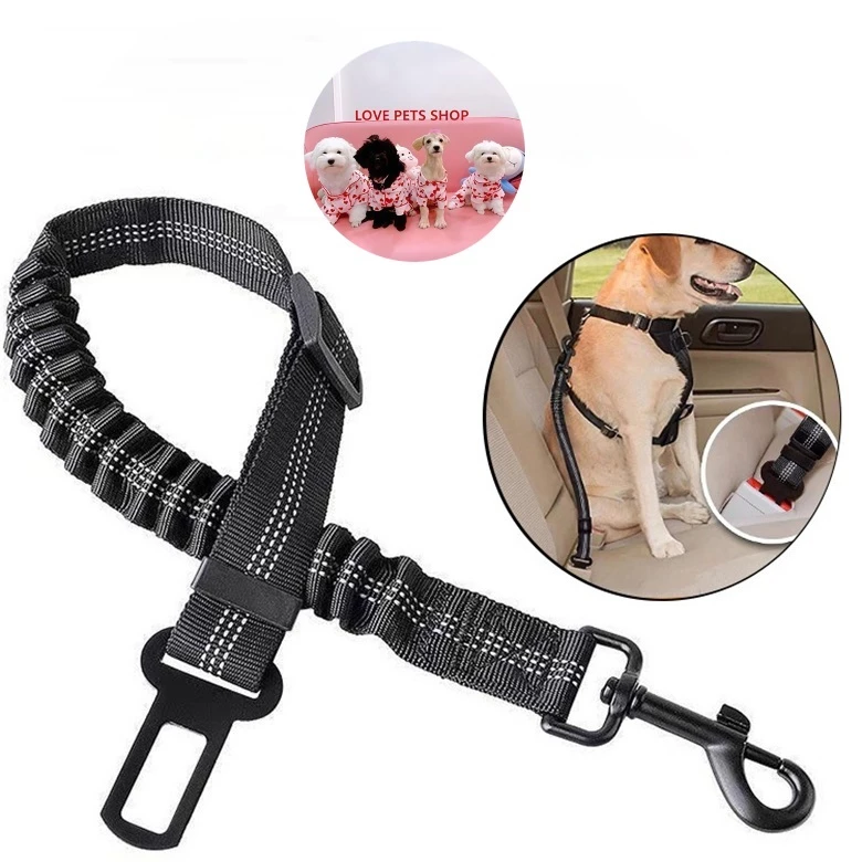 Dây cố định chó mèo trên xe hơi