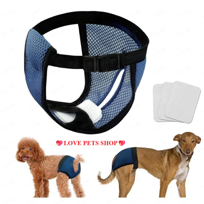 Quần sinh lý cho Chó mèo bằng vải lưới xốp mềm mại, thoáng mát