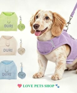Bộ dây dắt Chó Mèo kèm đai yếm Duri