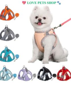 Bộ dây dắt Chó Mèo kèm đai yếm viền phản quang